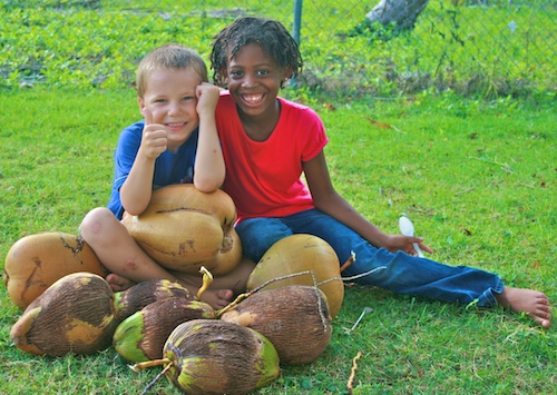 Coconuts DR