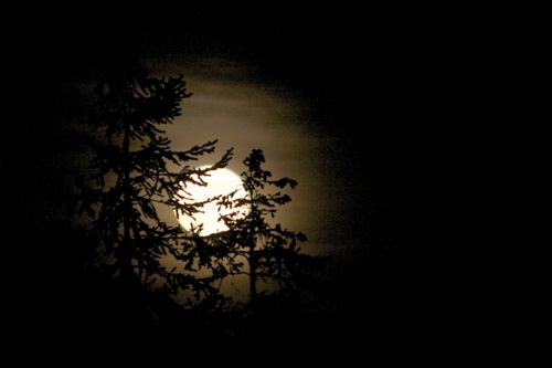 SuperMoon - 61