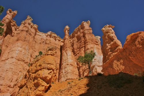 Bryce Canyon - 23