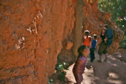 Bryce Canyon - 29