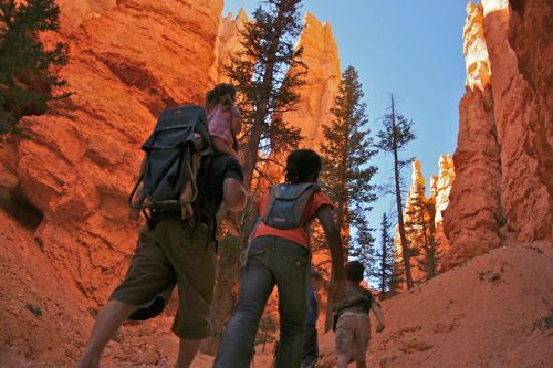 Bryce Canyon - 40