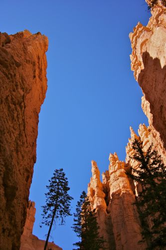 Bryce Canyon - 45