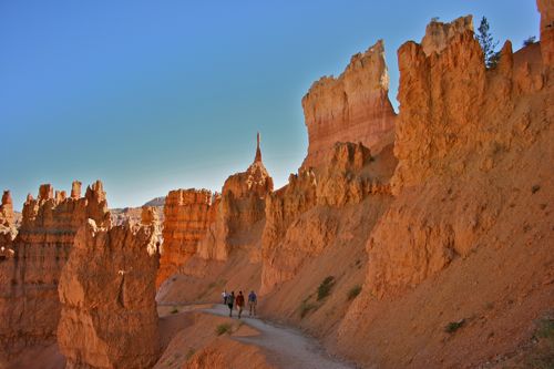 Bryce Canyon - 50