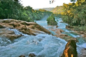 Agua Azul - 020