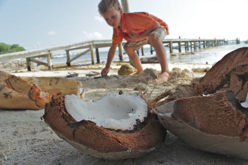 Ambergris Caye - 29