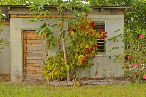 Belize - 57