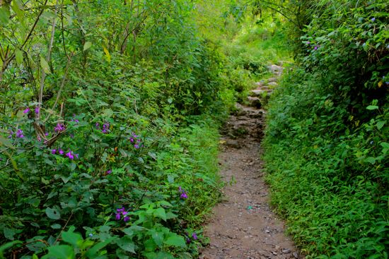 Tierra Linda Hike - 032