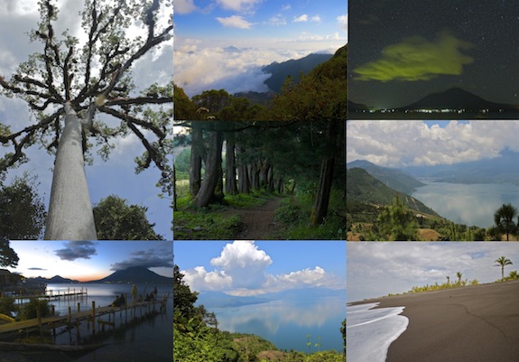 Terrain Collage